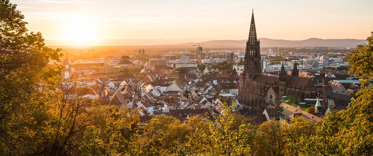 Blick auf Freiburger Altstadt und das Münster