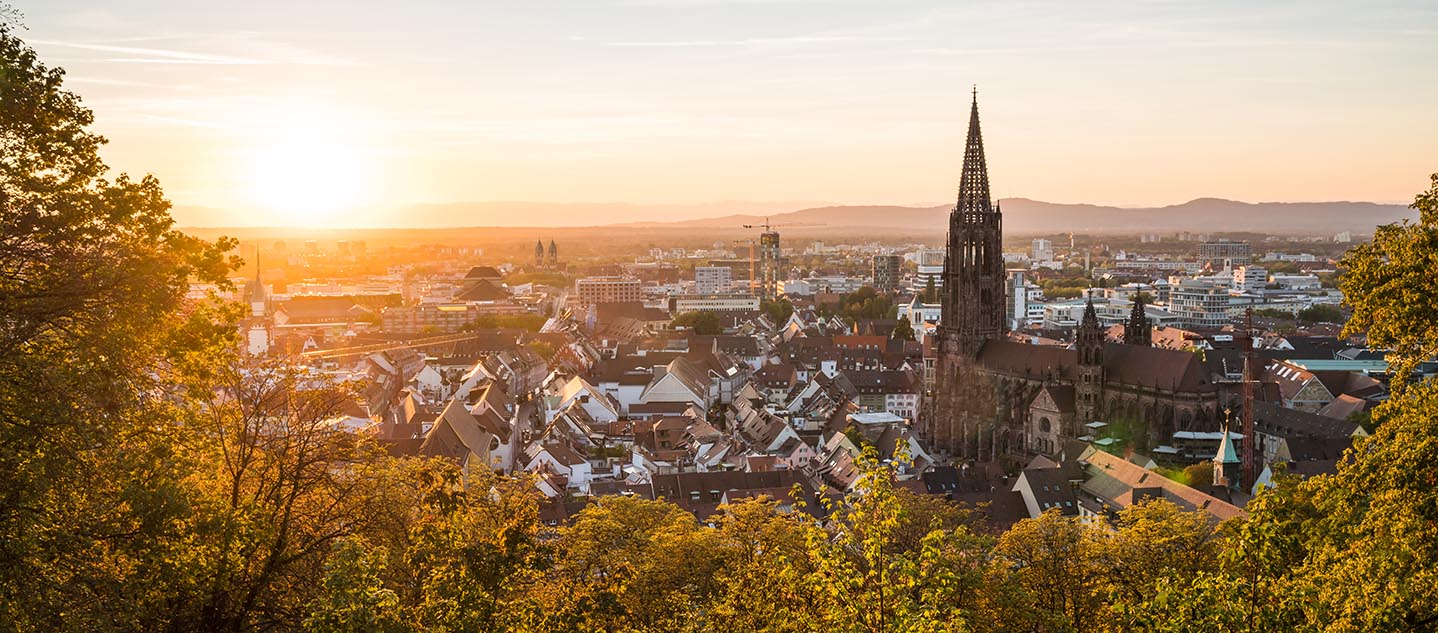 Blick auf Freiburg und das Münster